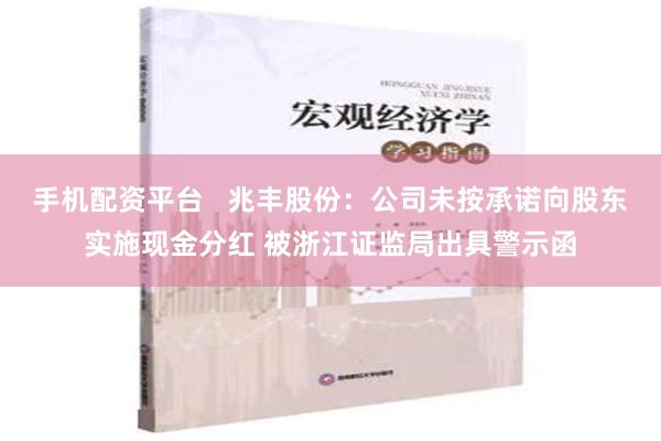 手机配资平台   兆丰股份：公司未按承诺向股东实施现金分红 被浙江证监局出具警示函