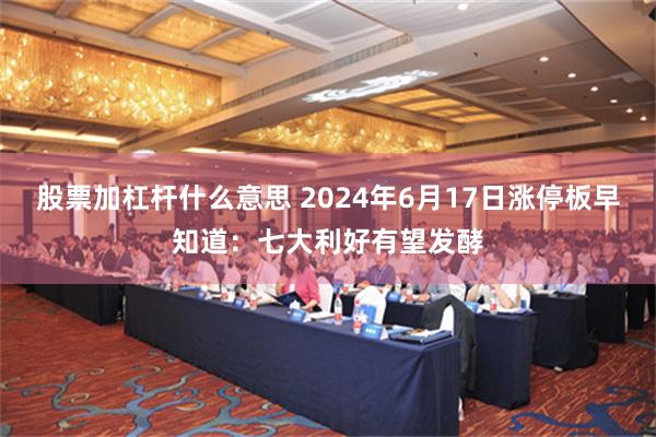 股票加杠杆什么意思 2024年6月17日涨停板早知道：七大利好有望发酵