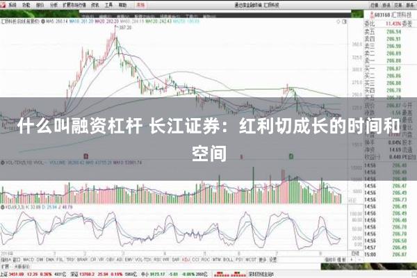 什么叫融资杠杆 长江证券：红利切成长的时间和空间