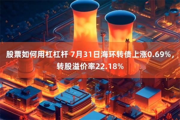 股票如何用杠杠杆 7月31日海环转债上涨0.69%，转股溢价率22.18%