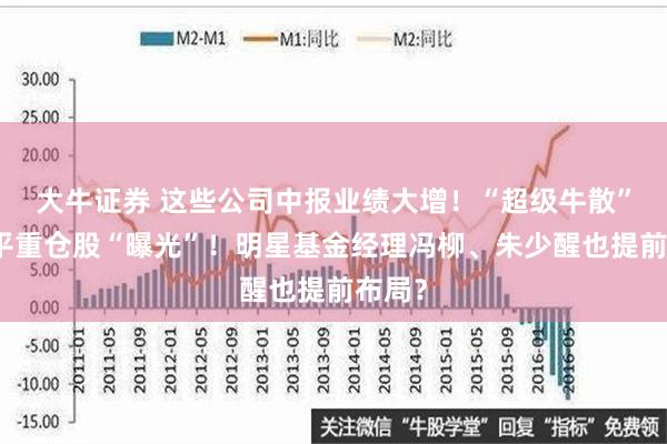 大牛证券 这些公司中报业绩大增！“超级牛散”赵建平重仓股“曝光”！明星基金经理冯柳、朱少醒也提前布局？