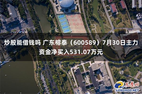 炒股能借钱吗 广东榕泰（600589）7月30日主力资金净买入531.07万元