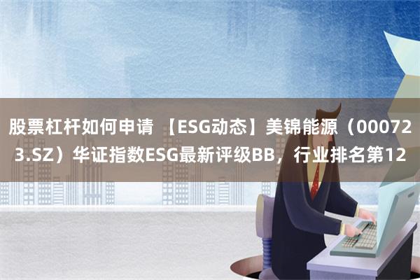 股票杠杆如何申请 【ESG动态】美锦能源（000723.SZ）华证指数ESG最新评级BB，行业排名第12