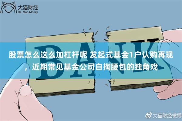 股票怎么这么加杠杆呢 发起式基金1户认购再现，近期常见基金公司自掏腰包的独角戏