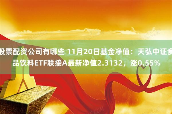 股票配资公司有哪些 11月20日基金净值：天弘中证食品饮料ETF联接A最新净值2.3132，涨0.55%